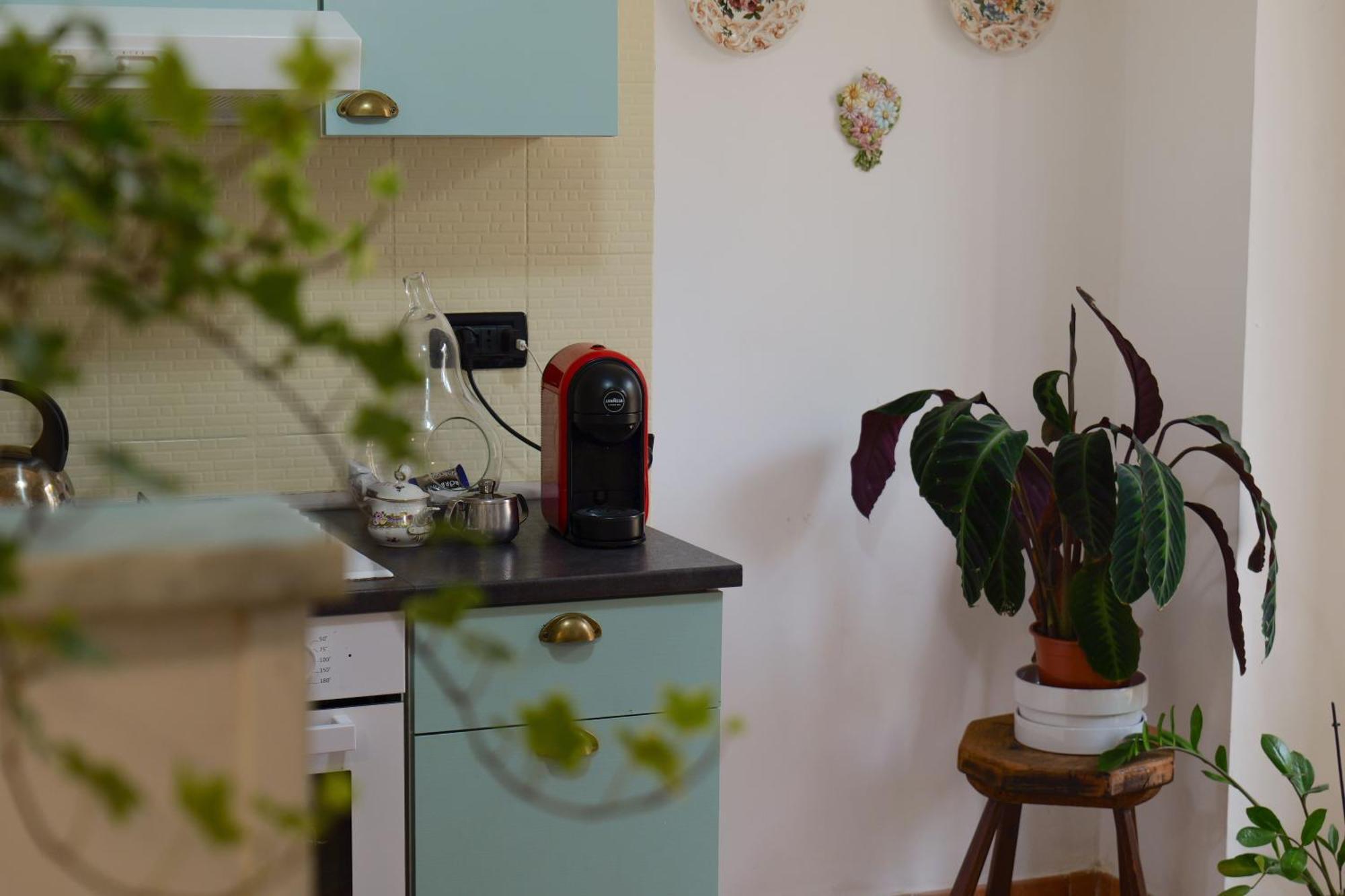 トリノ Coli'S House Bed & Breakfast エクステリア 写真